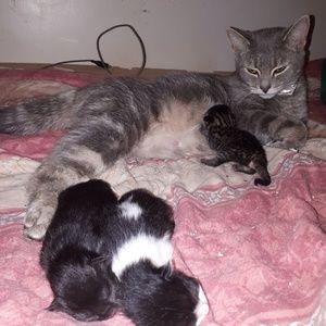 Meet your Posher, Mel